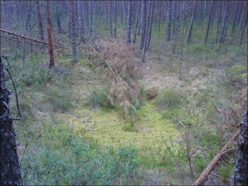 Воронка от разрыва снаряда