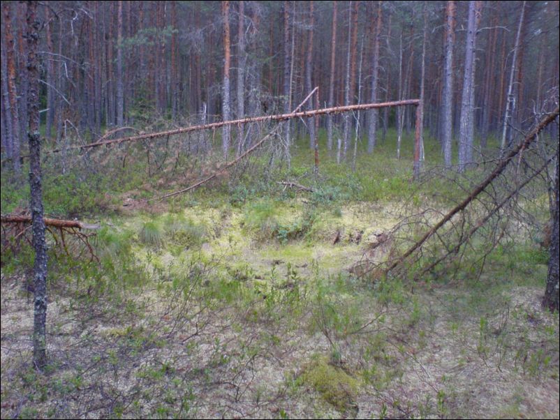 Воронка от разрыва снаряда