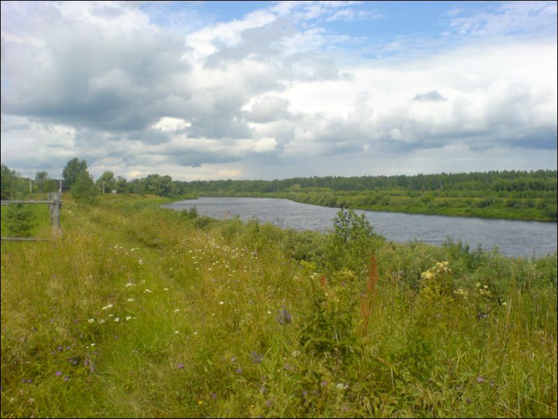Река Пола в деревне Сачково и Лукино