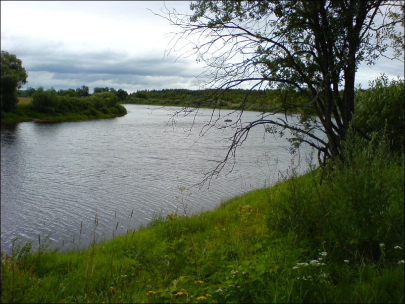 Река Пола в деревне Сачково и Лукино